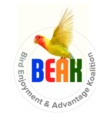 Beak_Logo