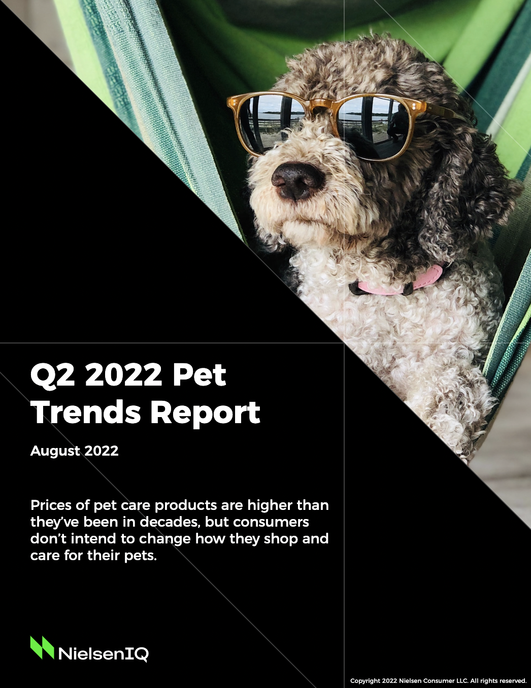 Q2 2022 Pet Trends From NeilsenIQ